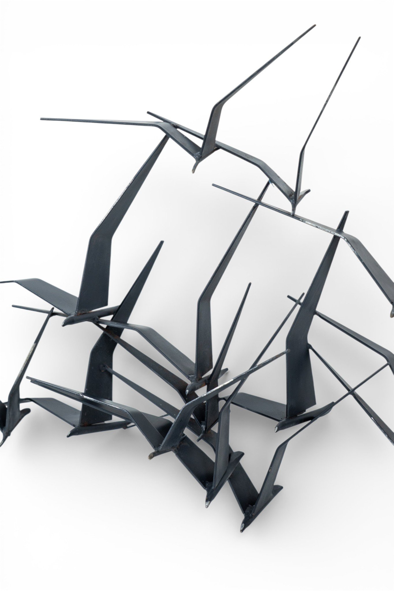 curtis jere birds in flight_3.jpg