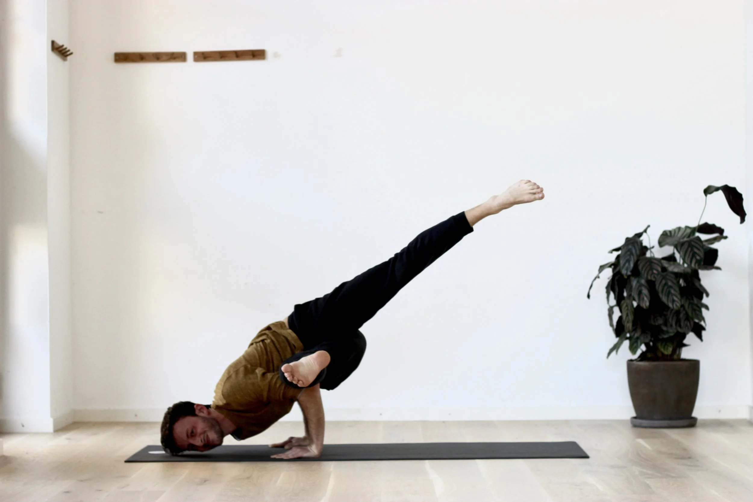 Picture of ashtanga.jpeg