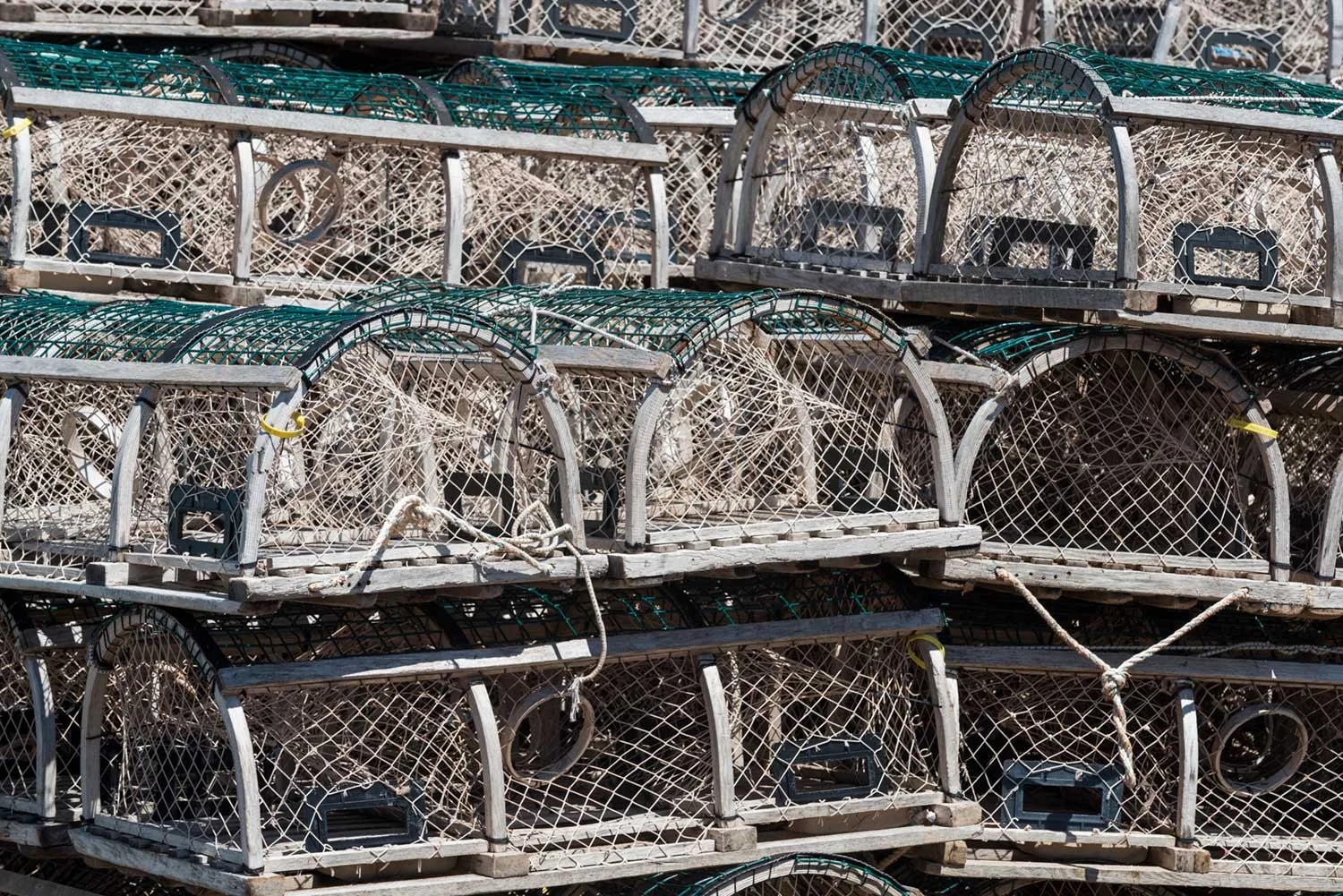 LOBSTRPOTS.jpg
