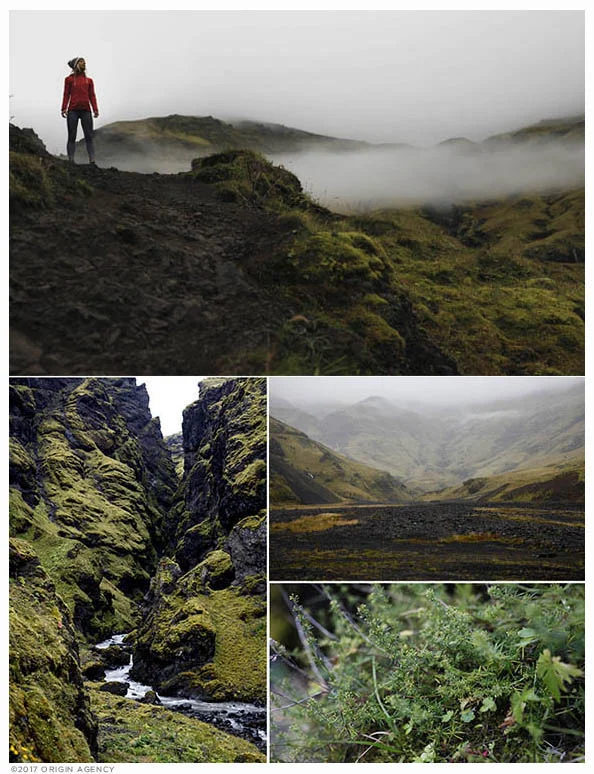 origin-agency-iceland-Gljufrabrui-pack.jpg