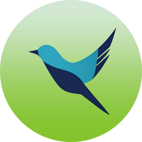 SOAR Chronic Pain Support Group