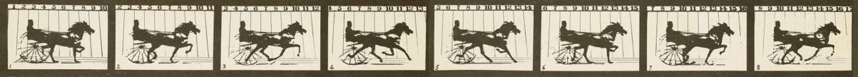 Eadweard Muybridge's 1878 Photographic Studies of a Horse in Motion at Palo Alto Racetrack, California