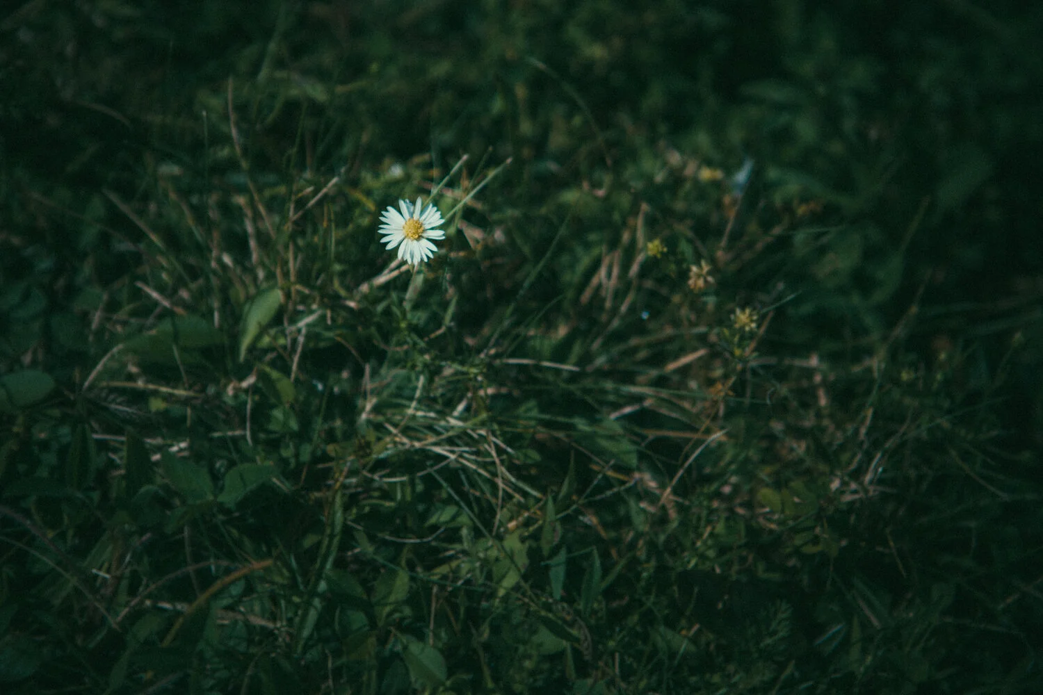 One Surprisingly Easy Way to Change Someone's Life
