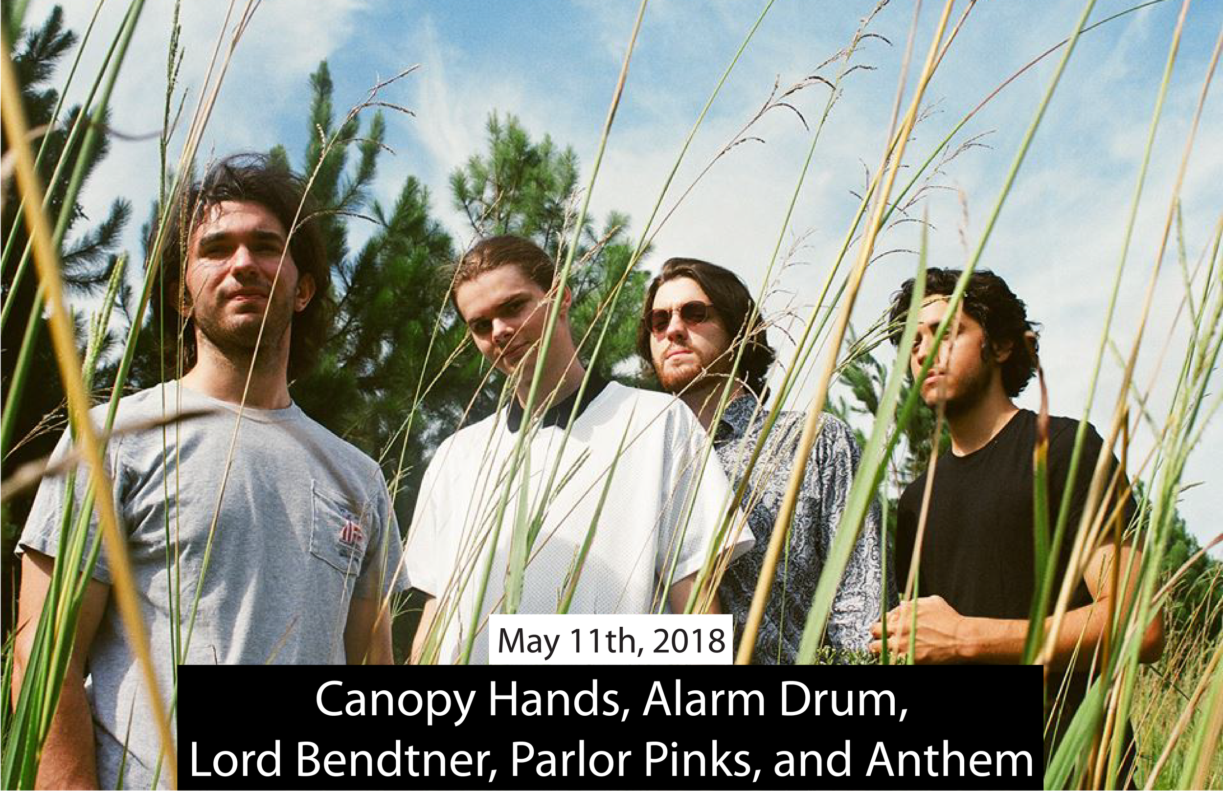Canopy Hands 2018 BIG BIG BIG-01.png