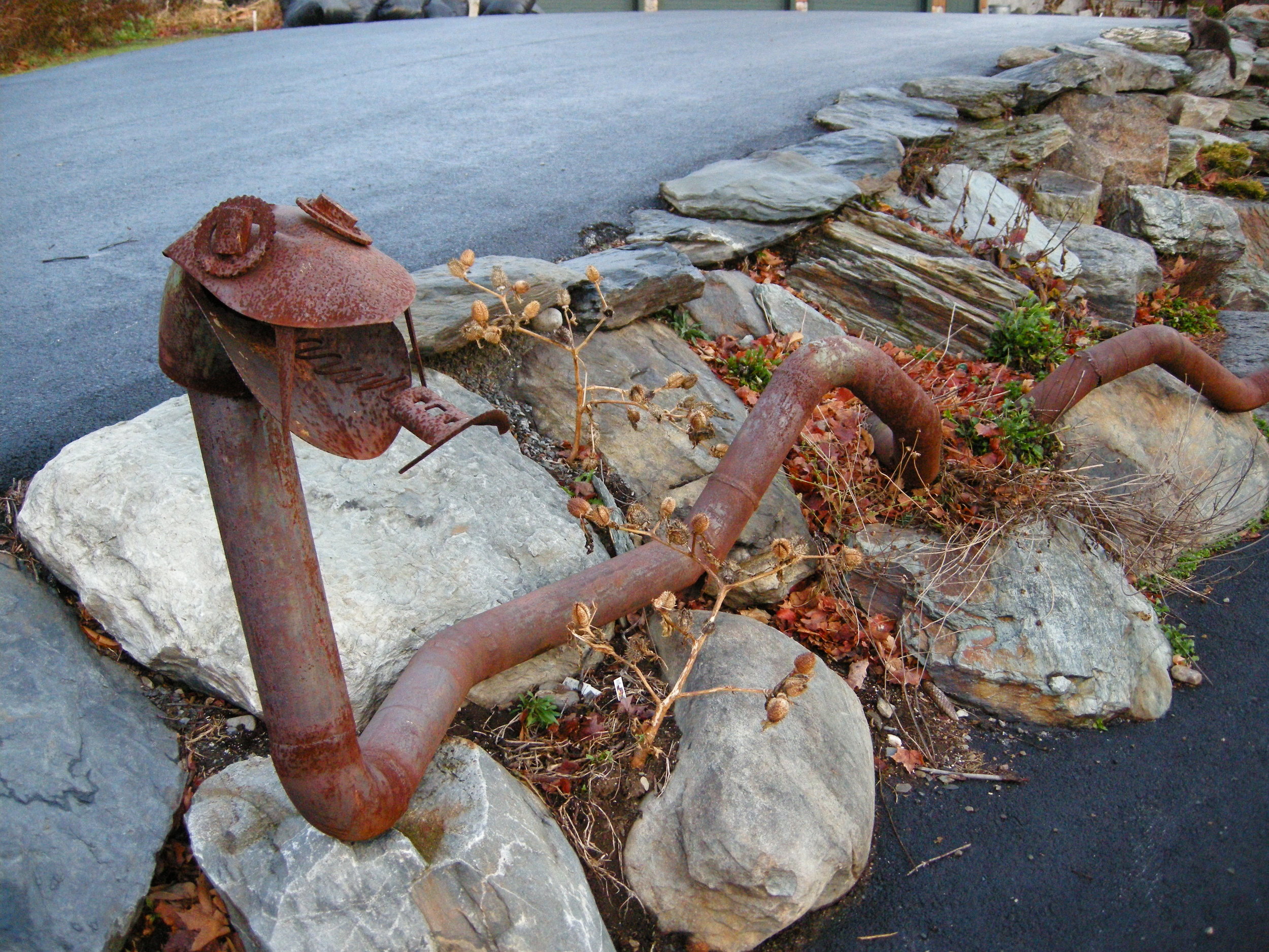 DSCN5217.jpg