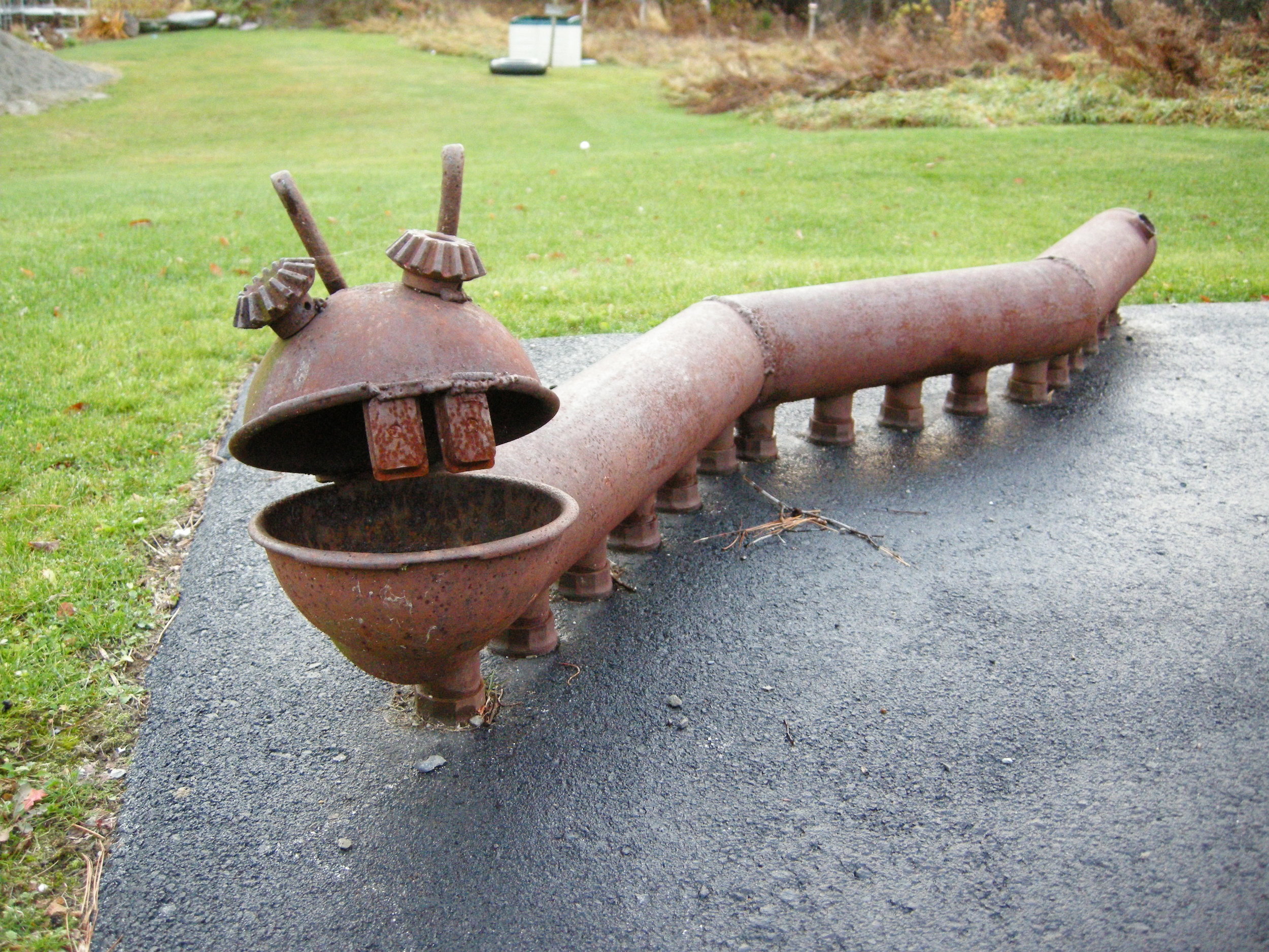 DSCN5218.jpg