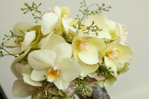 1bouquet.jpg