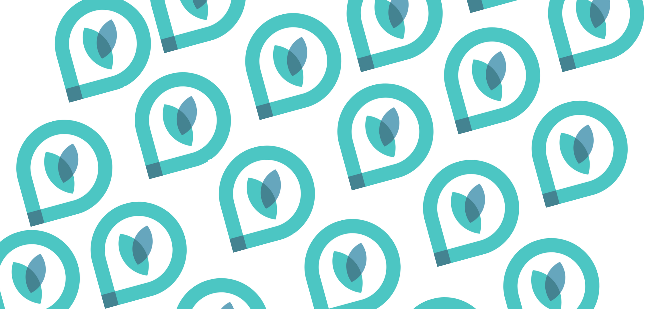 PE banner v2.png