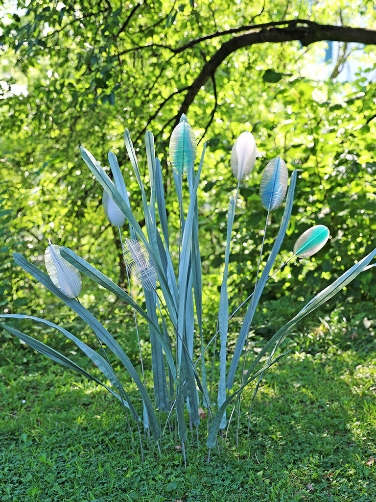 Typha – Nathalie Borgeaud