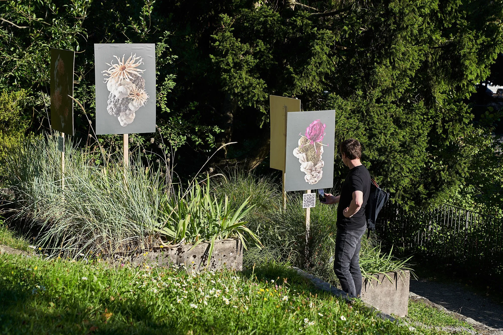 Flora Unleashed – Get It Studio