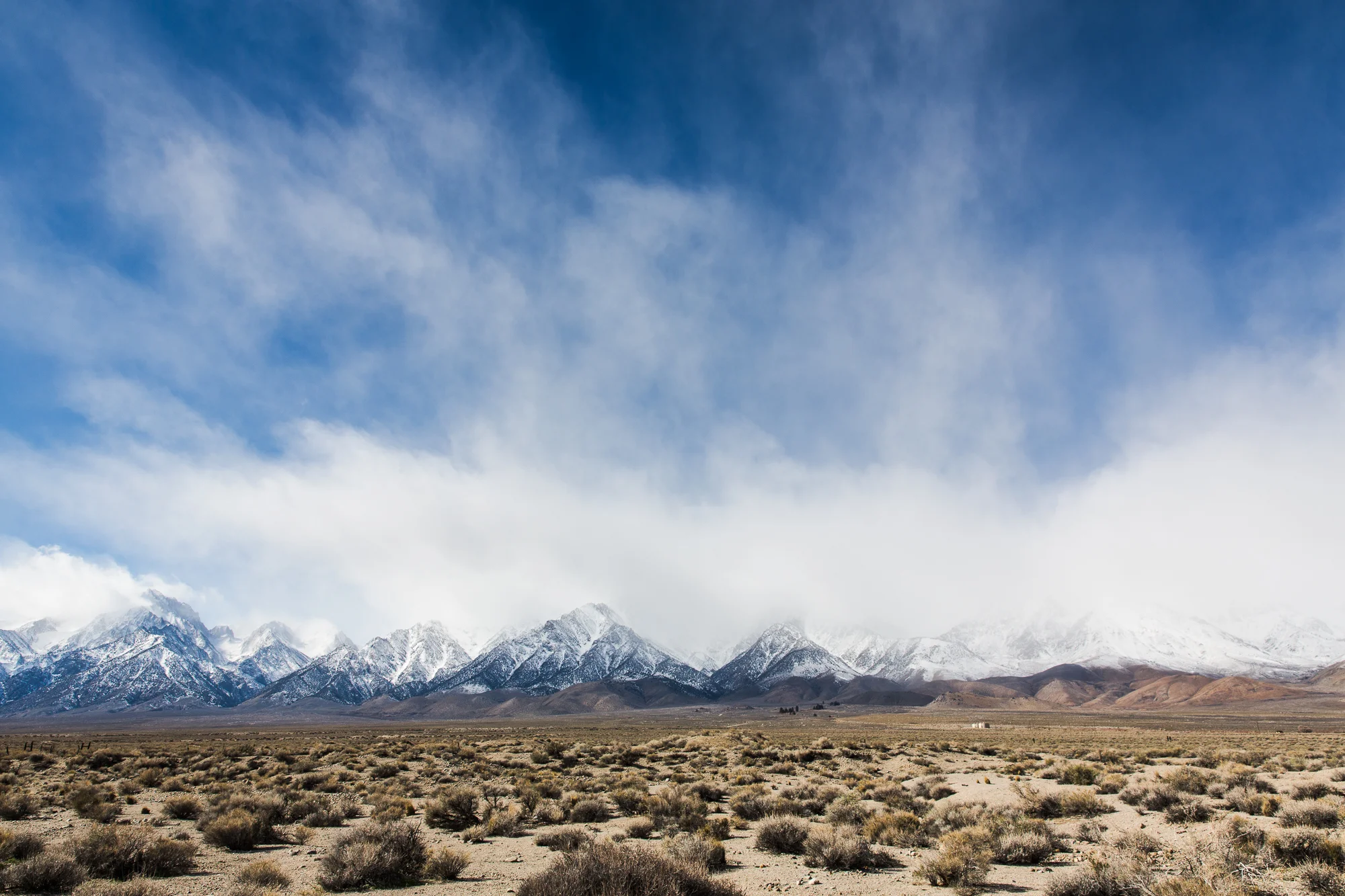 DesertScout_01-16-9341.jpg