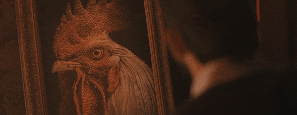 ezgif.com-optimize (6).gif