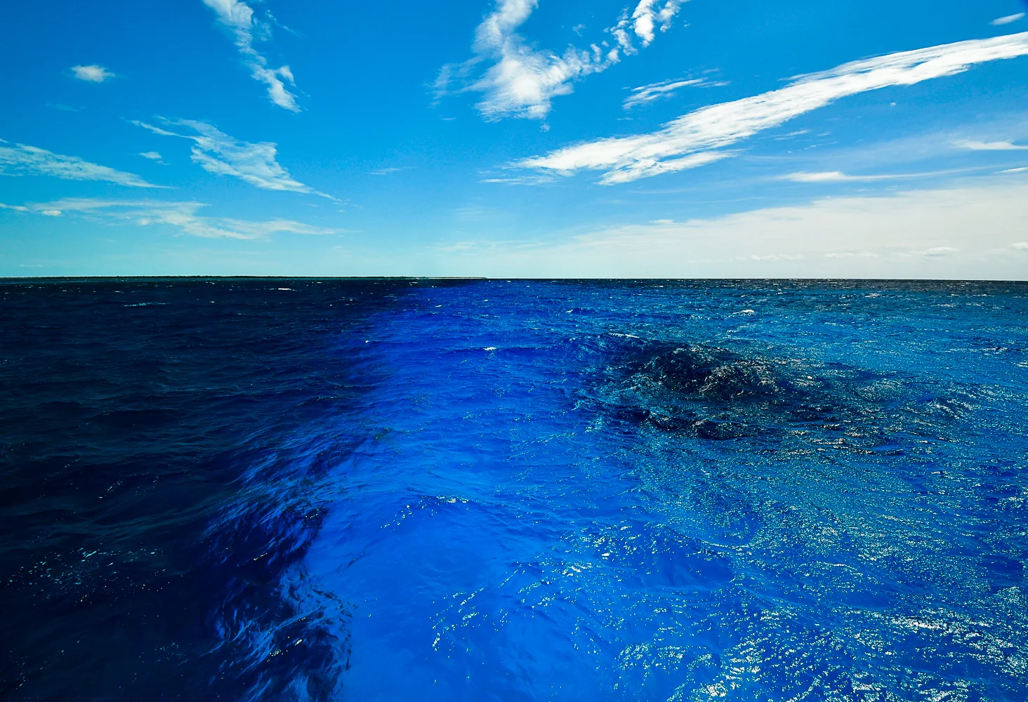 Cuba Reef under water.jpg