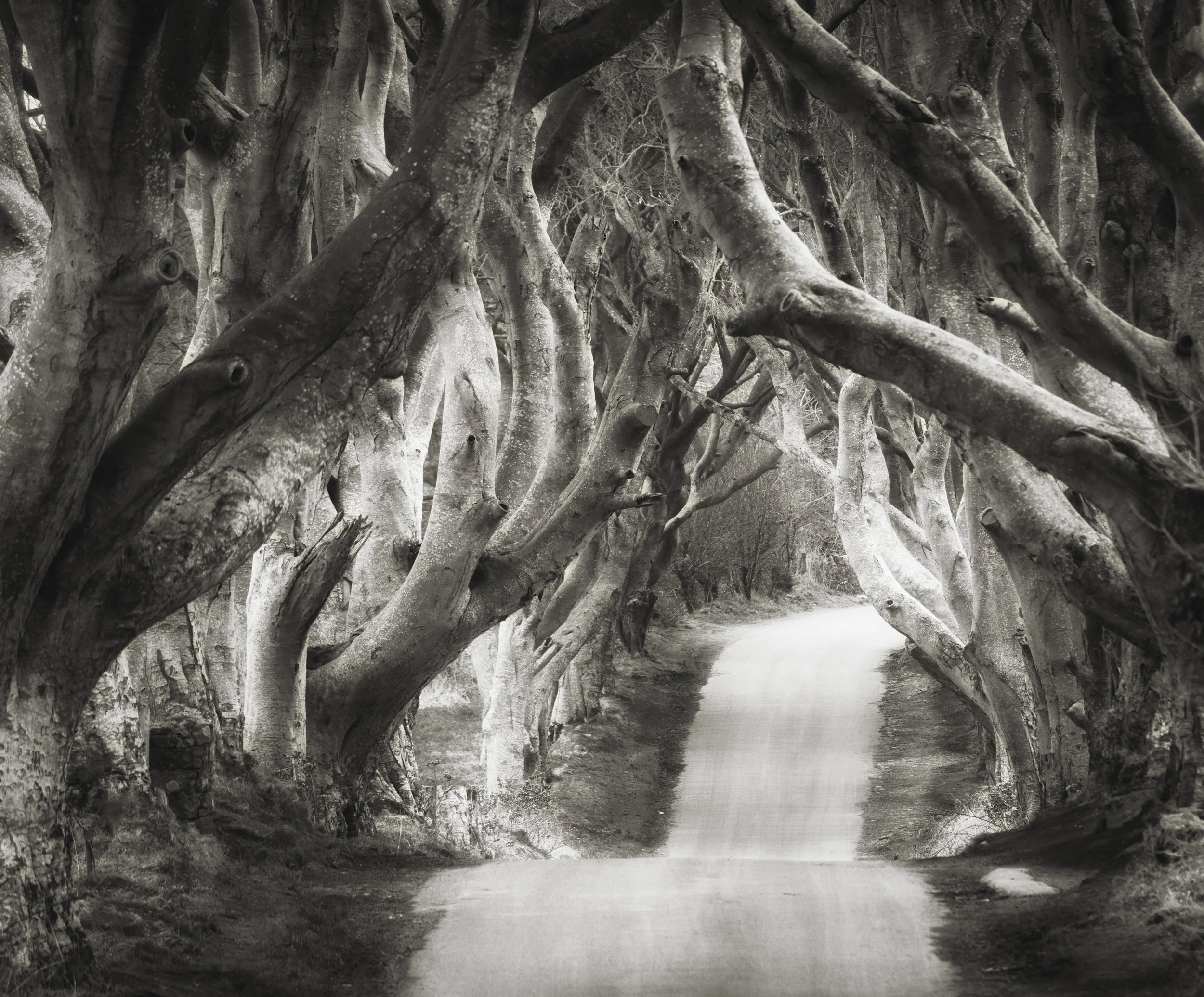 Dark Alley - Barbara Ebner-.jpg