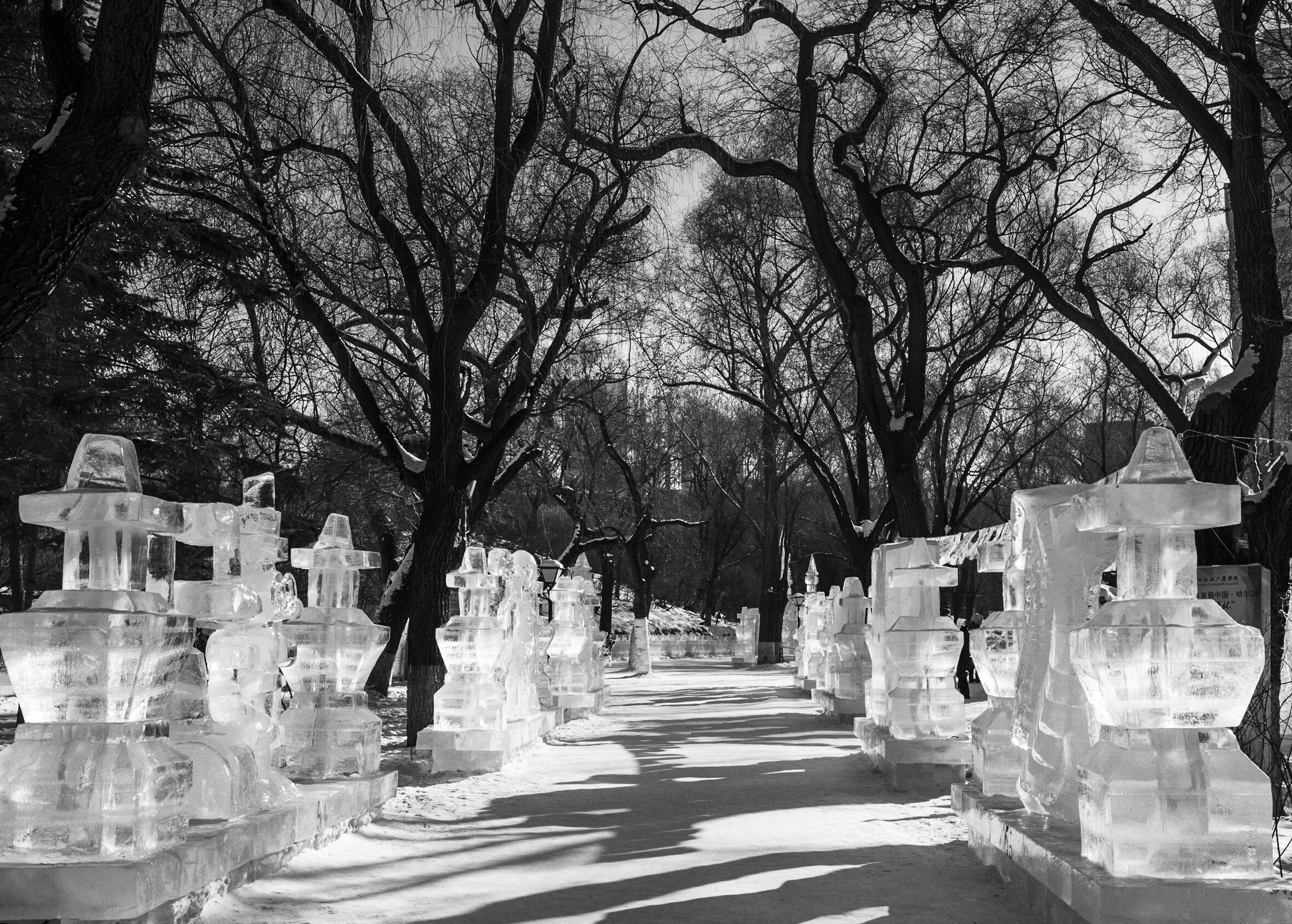 Ice soldier alley in Harbin - Barbara Ebner-8215.jpg