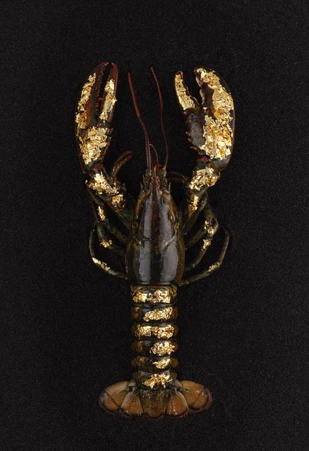 Lobster 3.jpeg