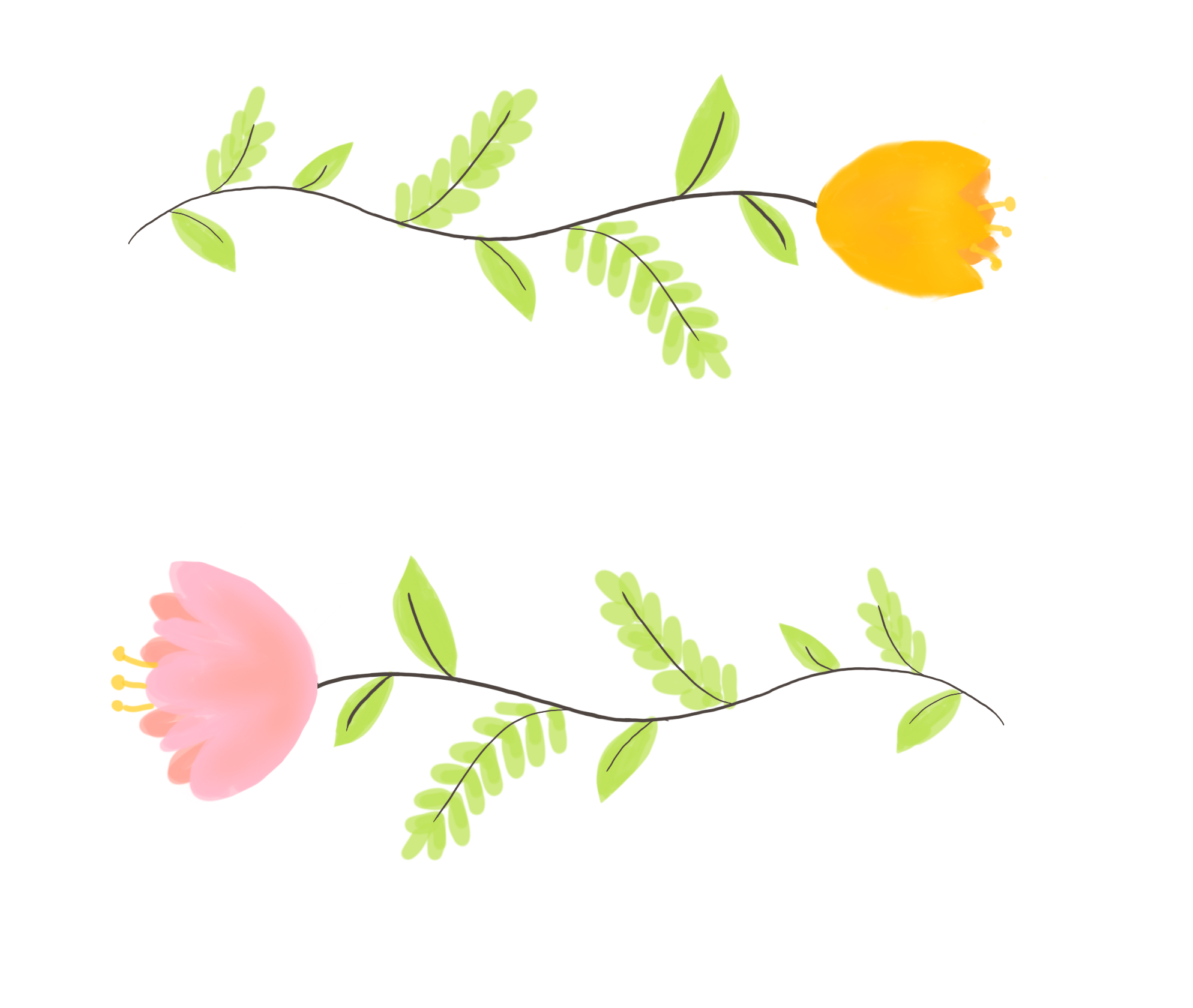 Floral illustration for client