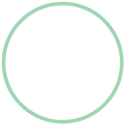 unfilled circle.png