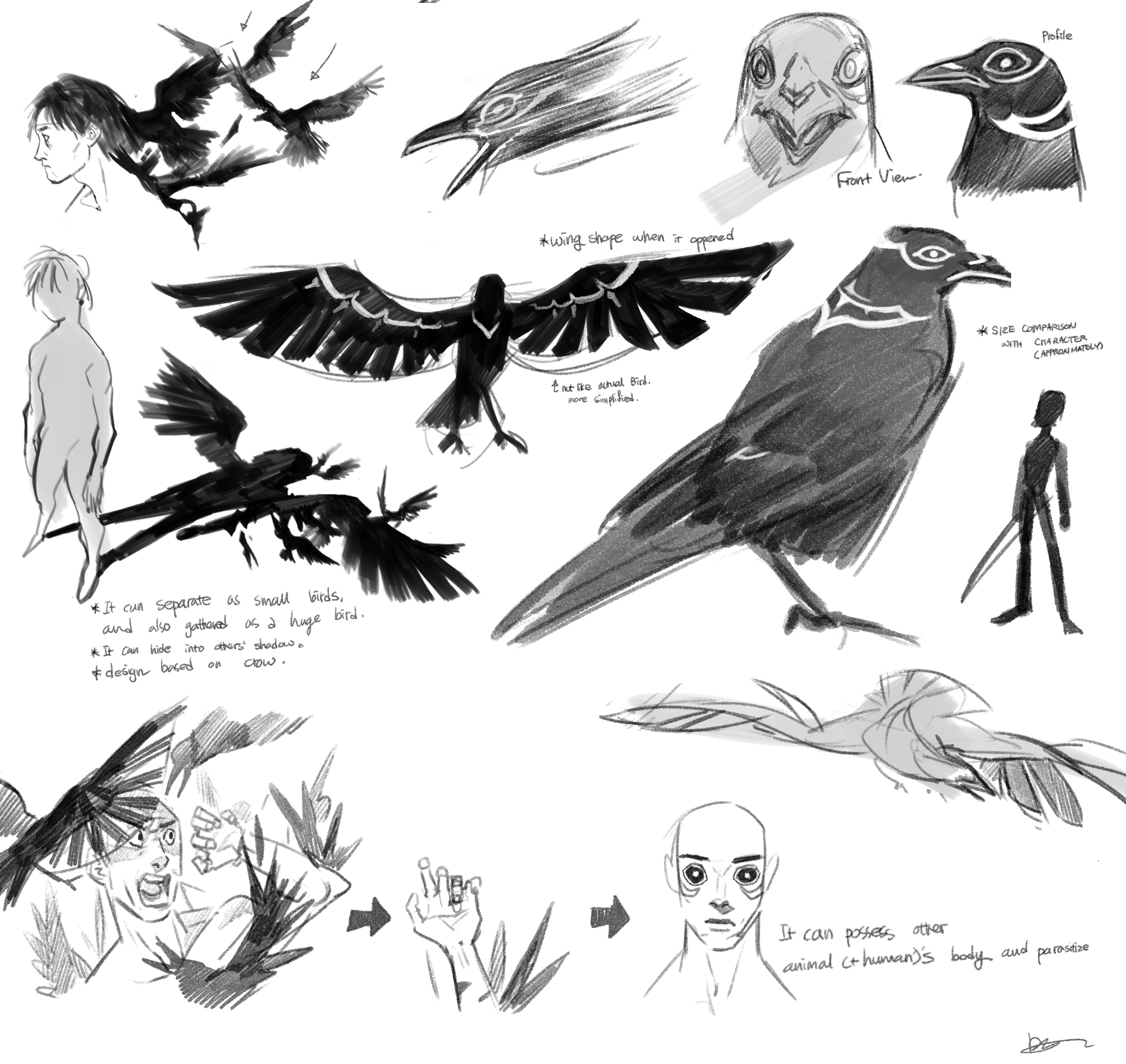 Daun07.png