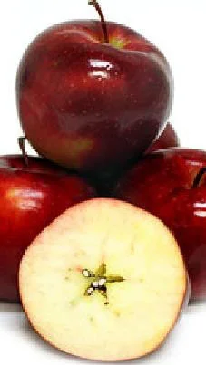 Taylor Red Rome&nbsp;