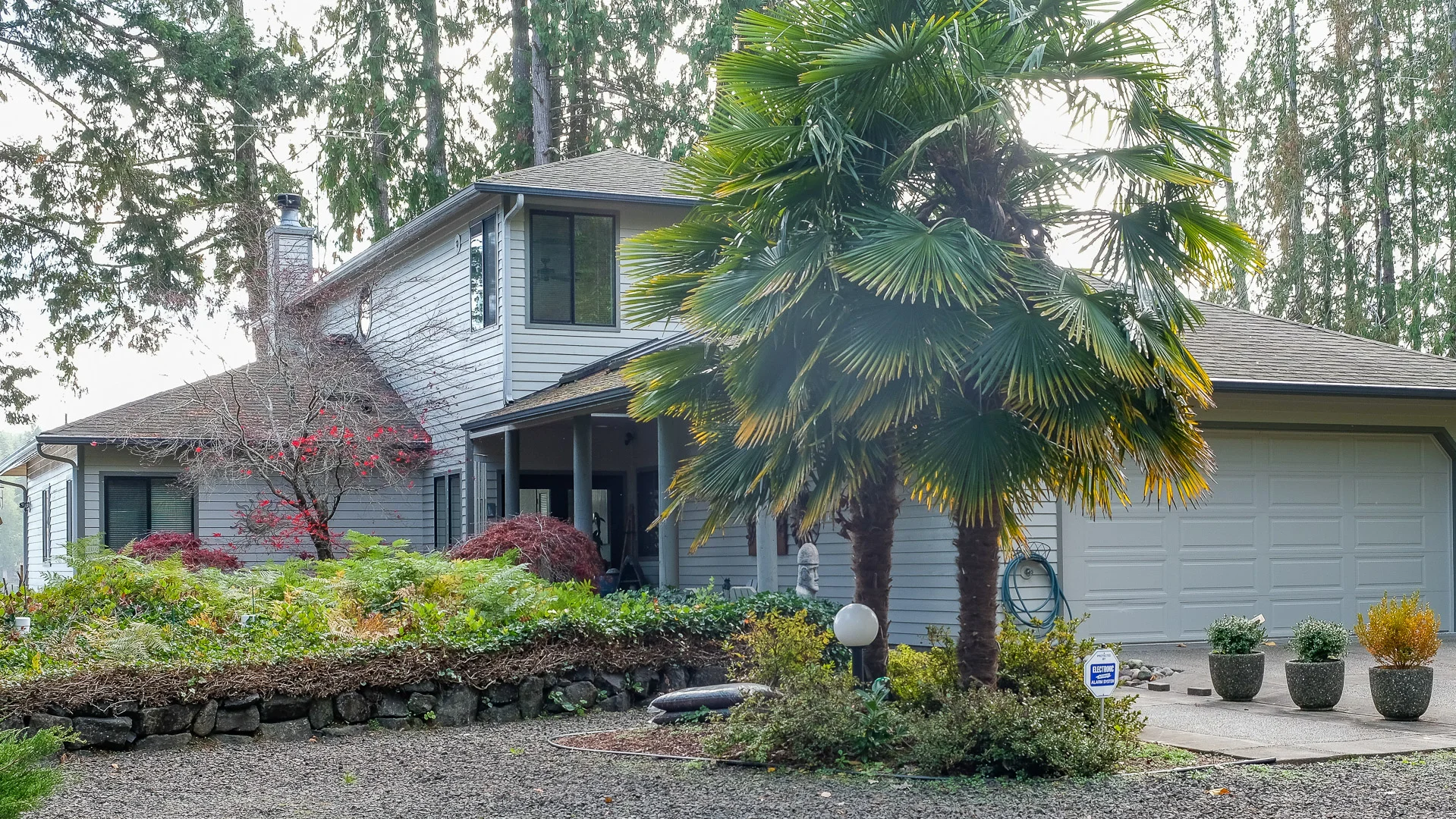 O'Brien Palm tree Ext.jpg