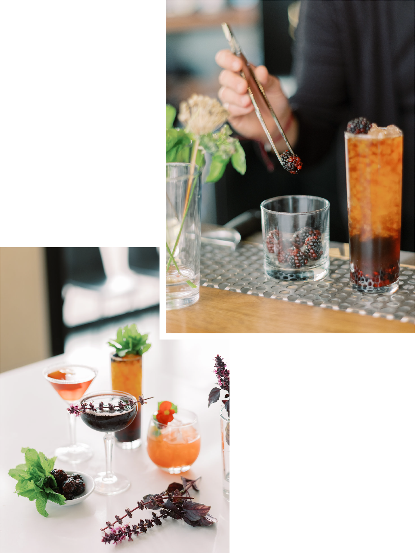 Fellow - Cocktails-02-02.png