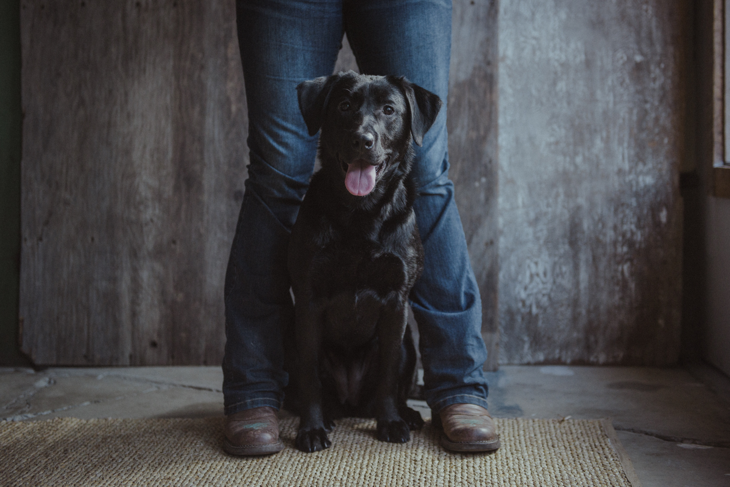 Dog-Portrait-Photography-Kamloops-4150.jpg