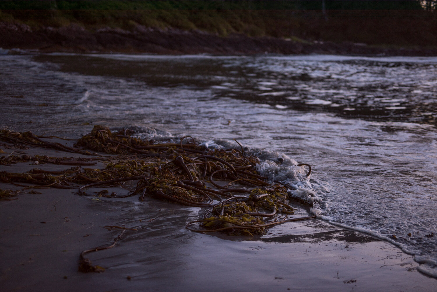 Ucluelet-Wya-Point-Wedding-Owen-Imaging-71.jpg