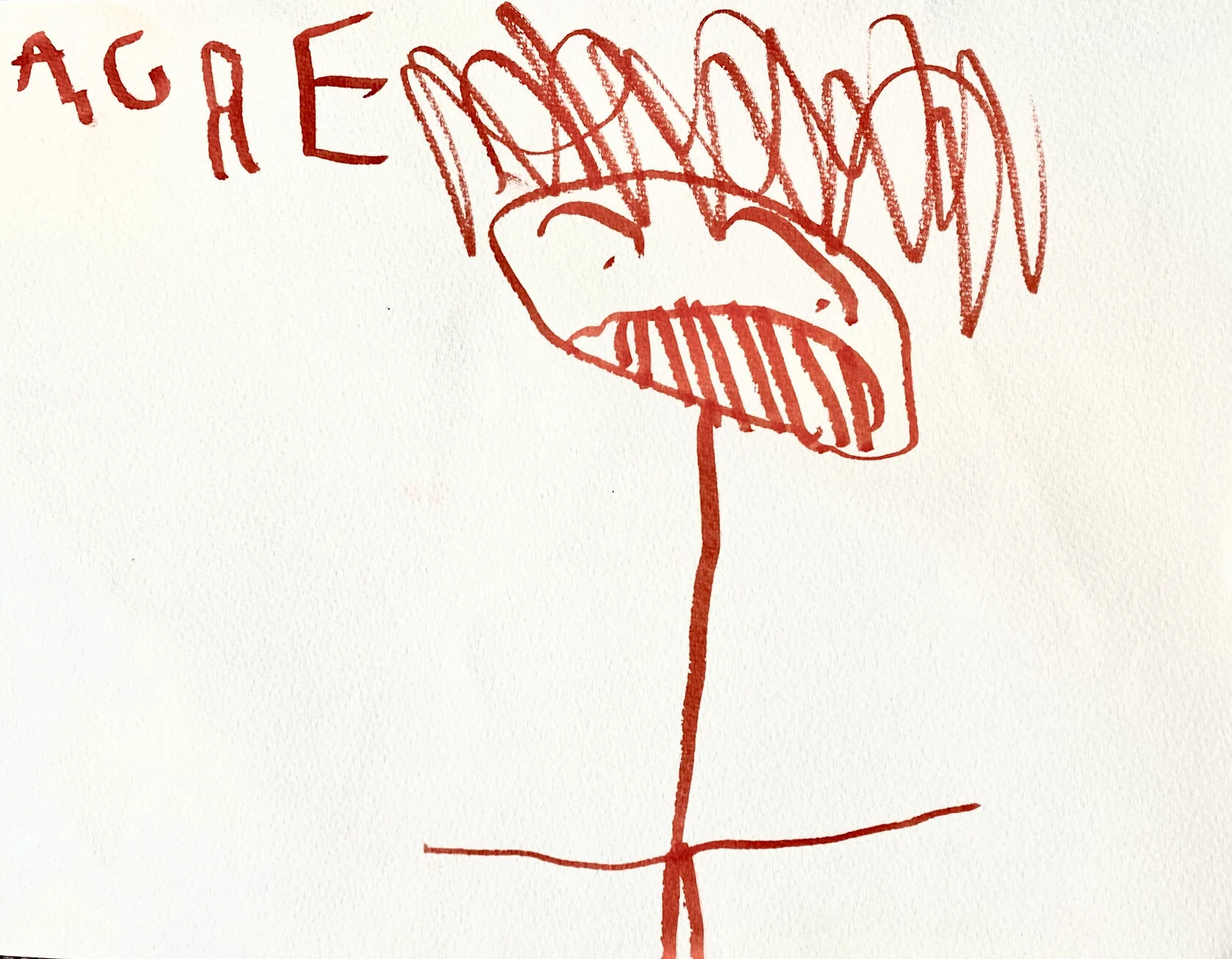 Building Emotional Intelligence: Lessons from the “AGRE” Kid