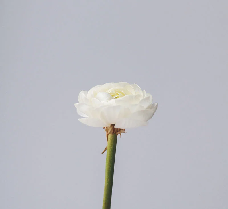 Photo by Olia Gozha