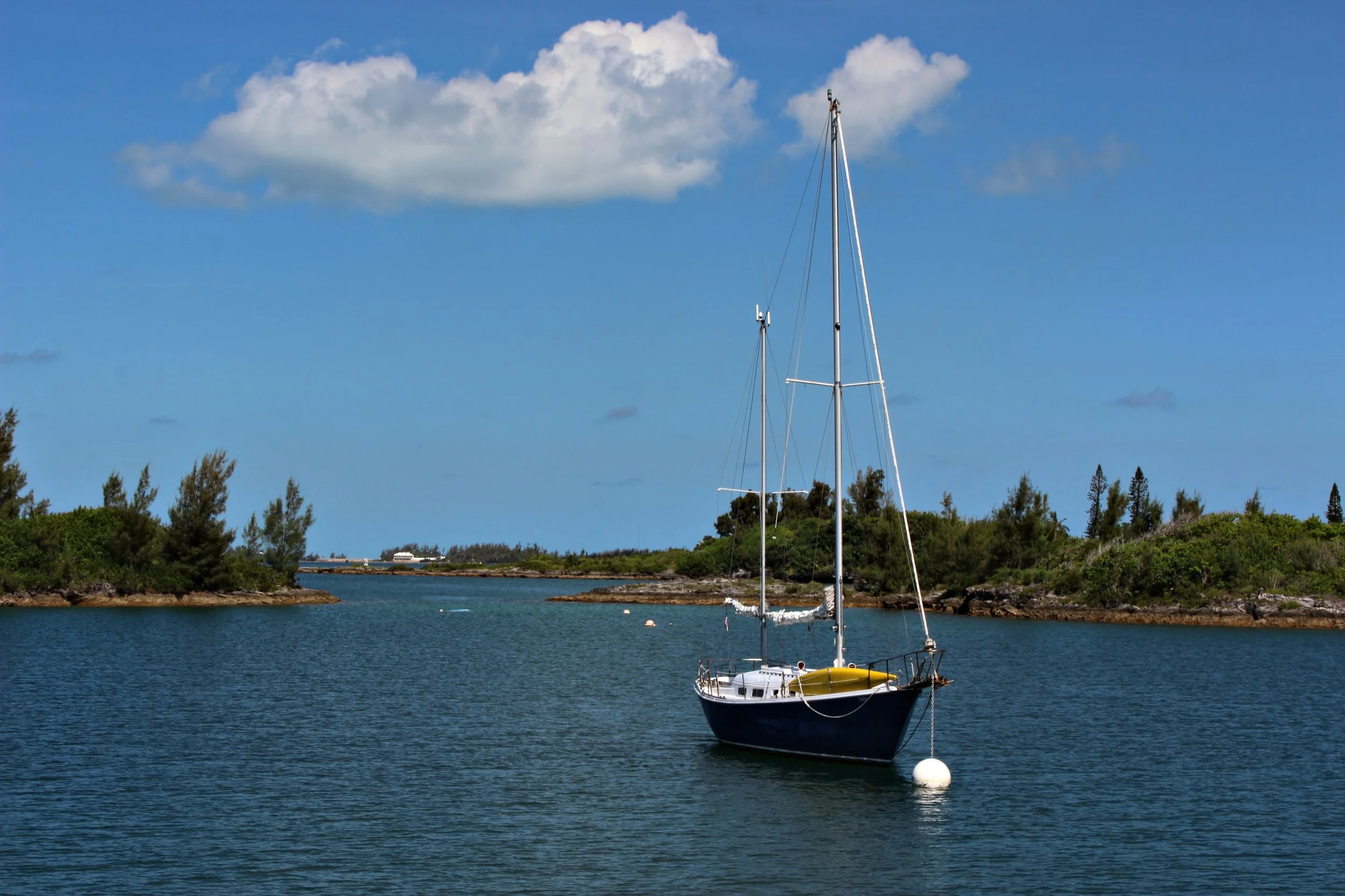 IMG_4392.JPG.jpg