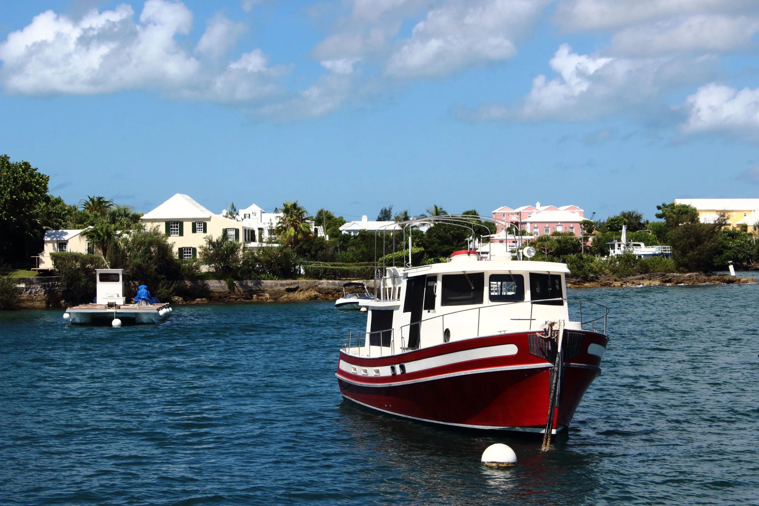 IMG_4416.JPG.jpg
