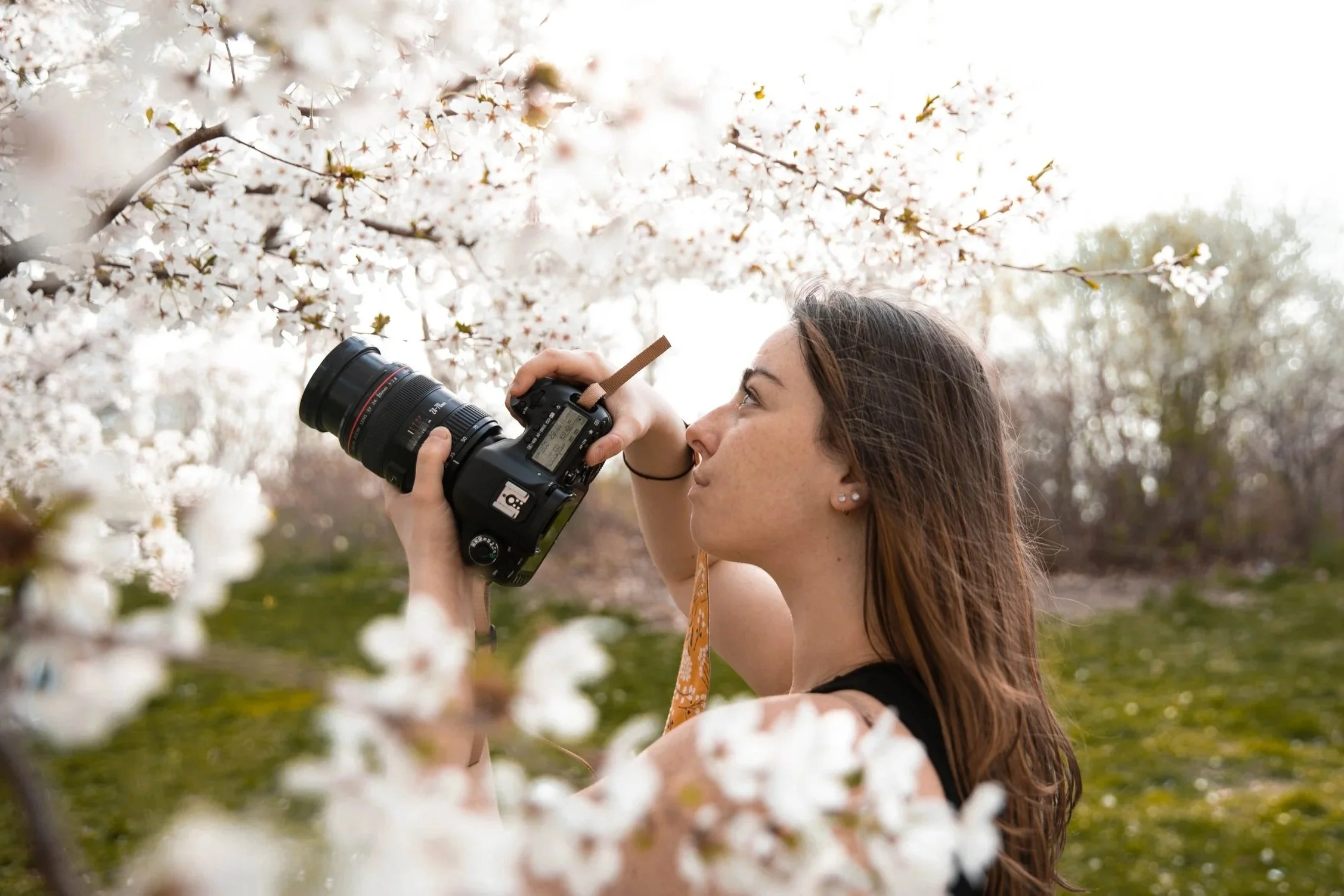 Me_CherryBlossoms-1.jpg
