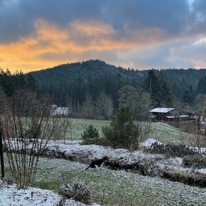 image-asset copy.jpg