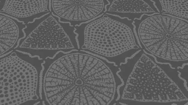 Example of planned pavers