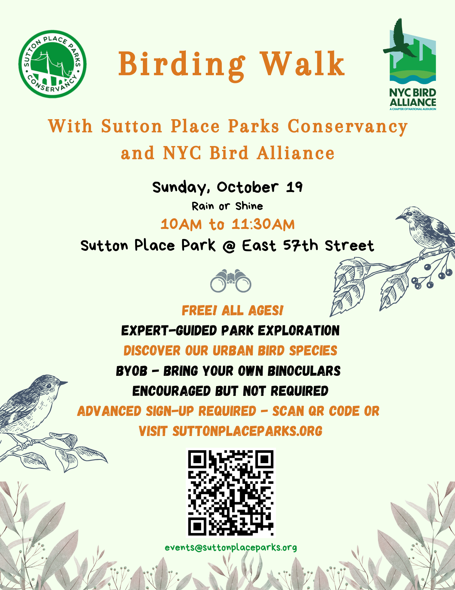 Birding Walk