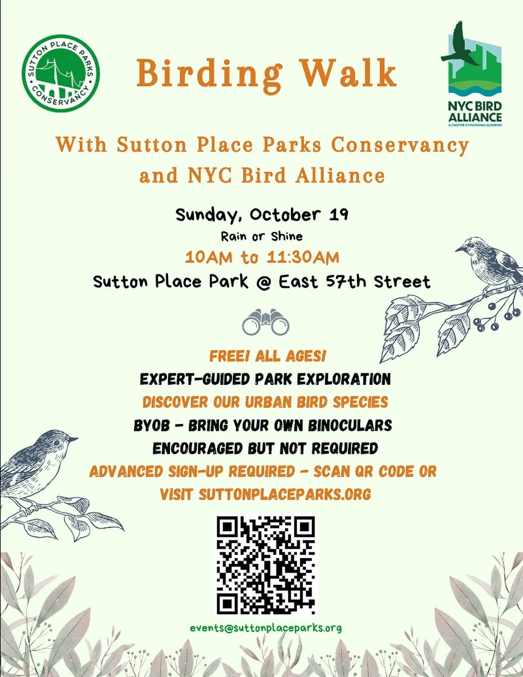 Sutton Parks is Going to the Birds! 🐦

Join us on October 19th for an expert-guided Birding Walk and park exploration where we&rsquo;ll discover urban bird species with @nycbirdalliance 🪺

BYOB - Bring Your Own Binoculars 🪶

Advanced sign-up requi