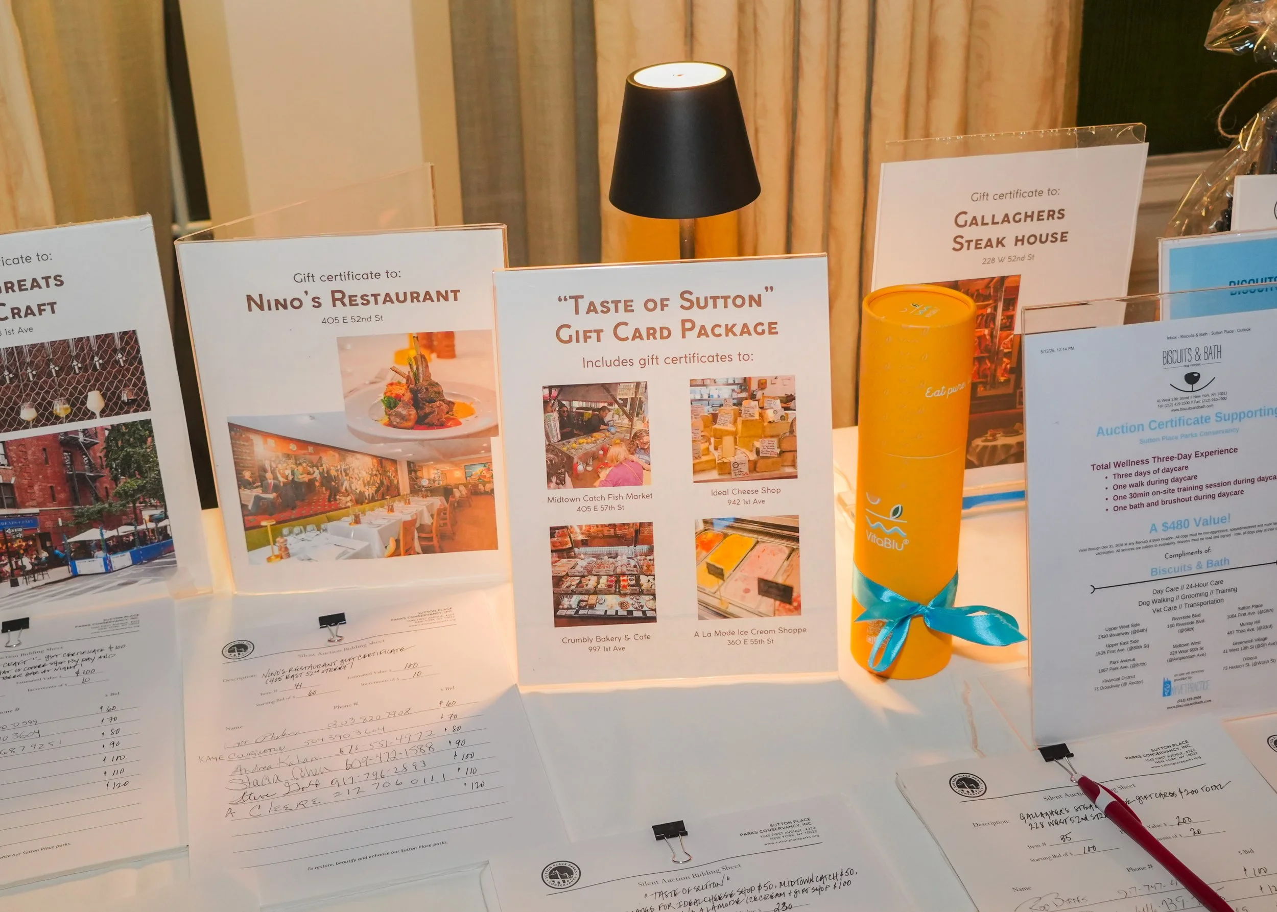 JS_113 Auction items.jpg