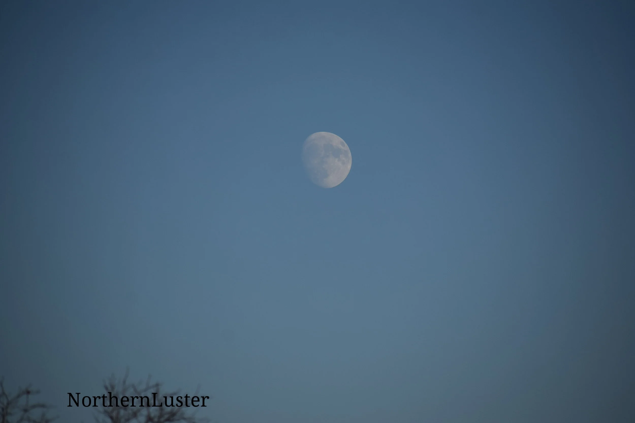 DSC_0278.JPG