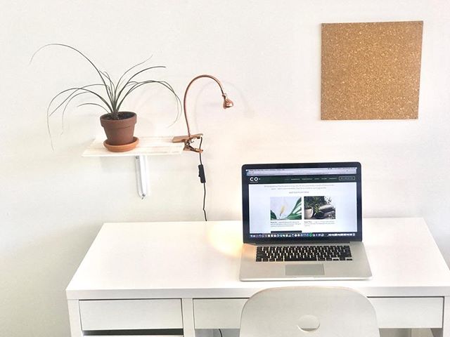 Our designated desk workspace, the optimal workspace for someone working off their computer! Contact us, we can accommodate your needs ✨ &bull;
&bull;
&bull;

#coworkingridgewood #CO #coworkingstudio #bushridge #deskspace #coworkingnyc #ridgewoodquee