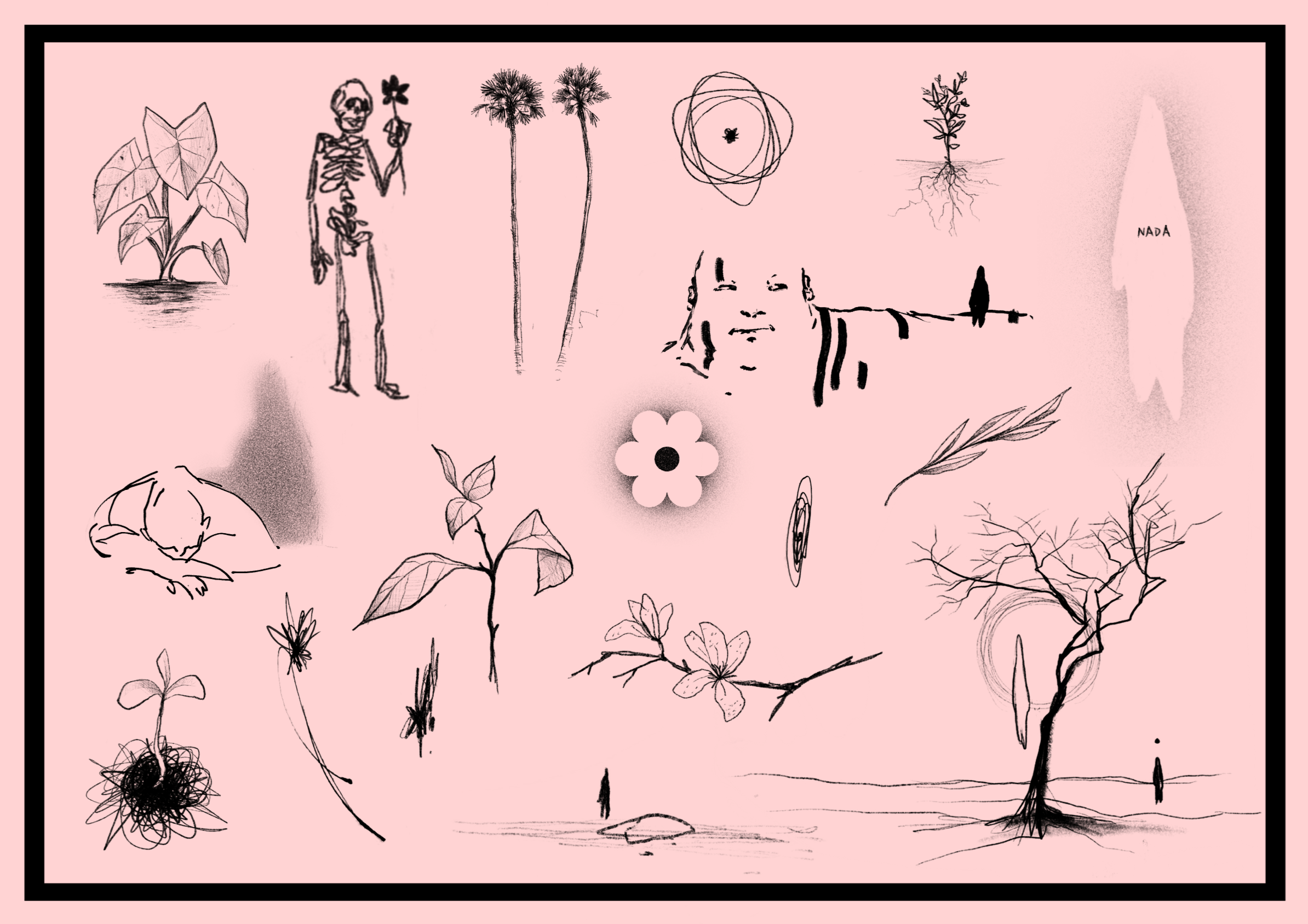 visagens - LENITA Flower Shop 7