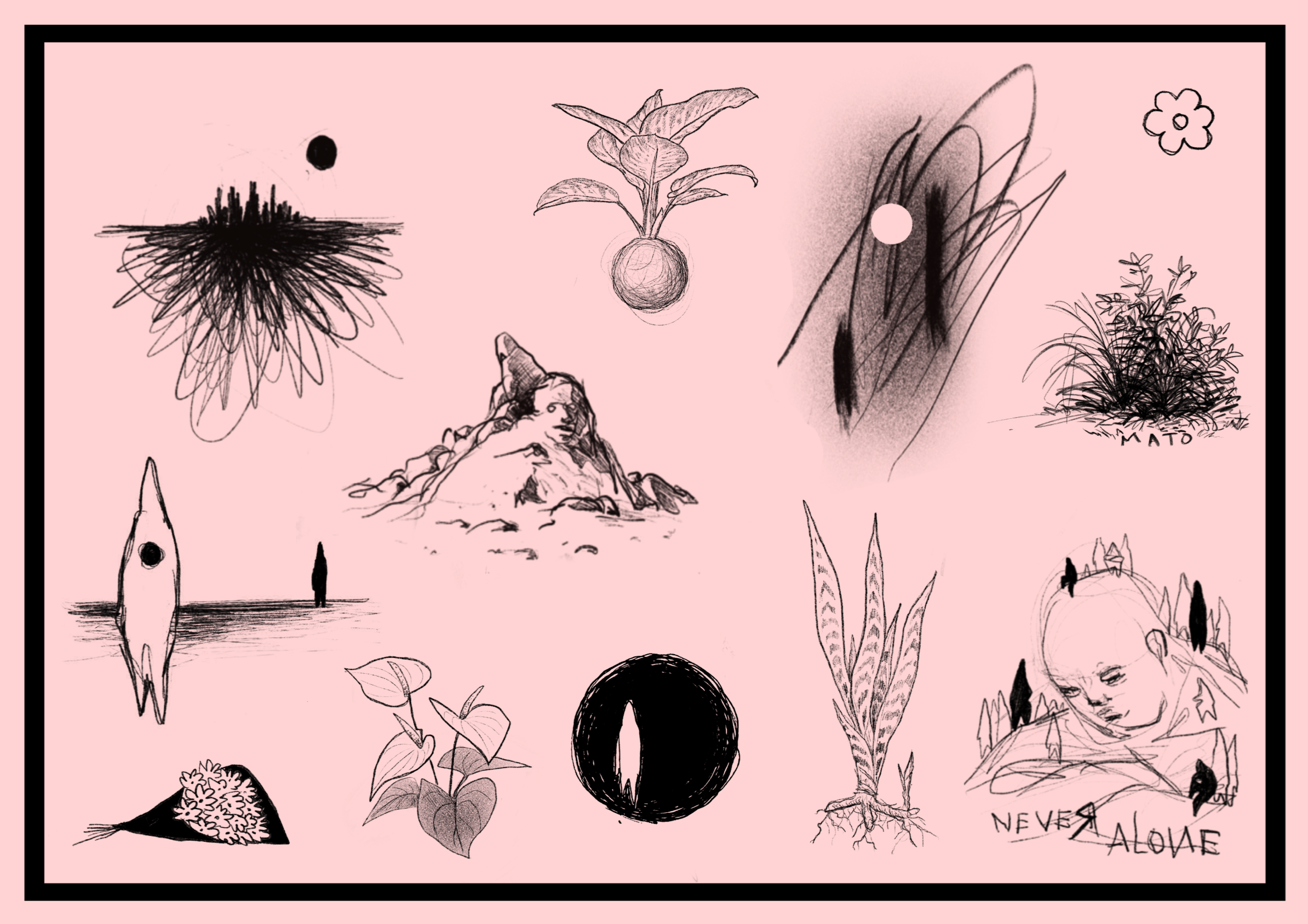 visagens - LENITA Flower Shop 4