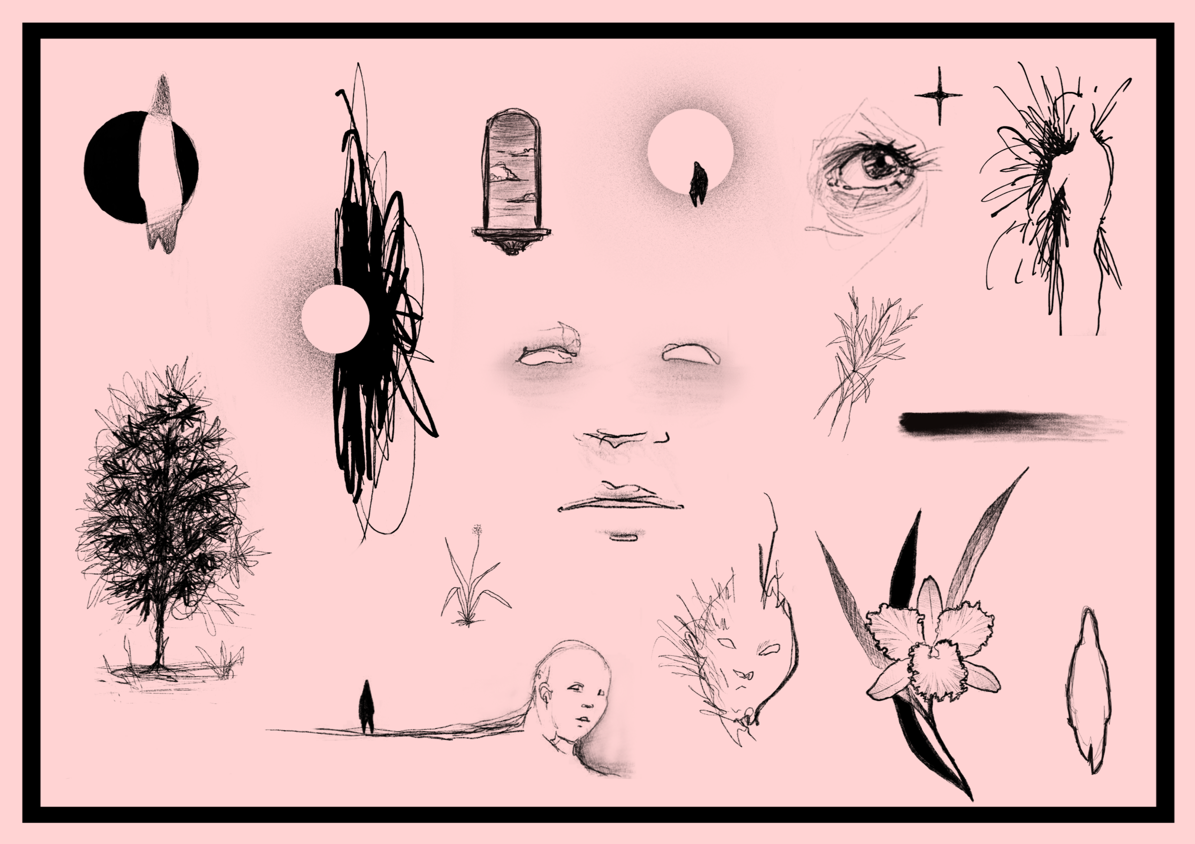 visagens - LENITA Flower Shop 2