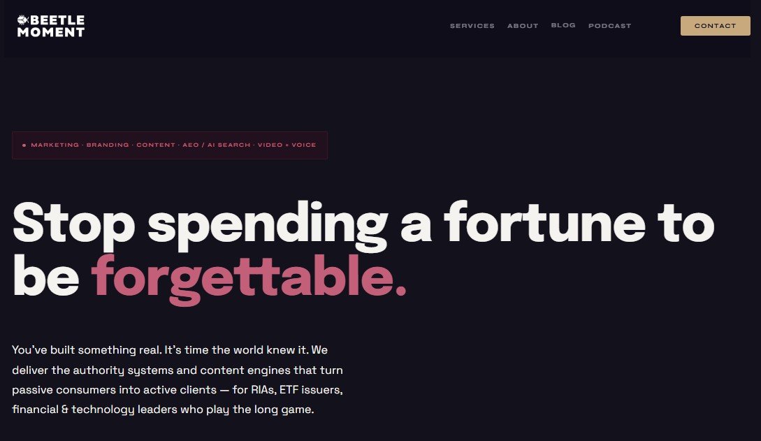 Beetle Moment Marketing: Best for B2B brands in the launch phase 