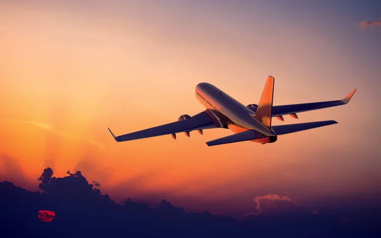 flight.jpeg