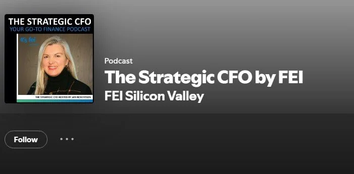 The Strategic CFO by FEI