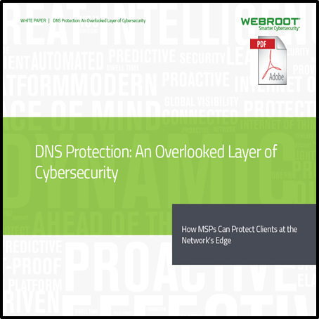 Whitepaper-dnsprotection.jpg
