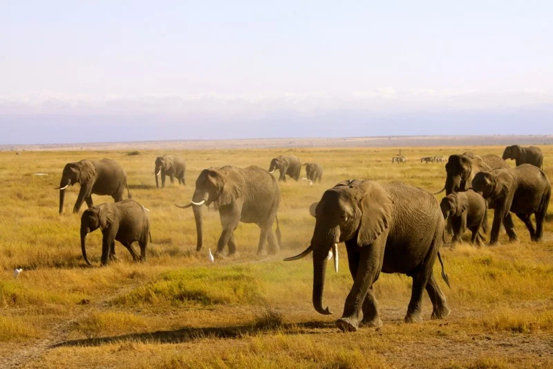 2014_AFRICA_016.jpg