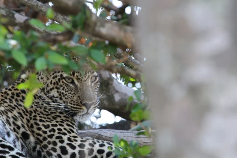 2014_AFRICA_047.jpg