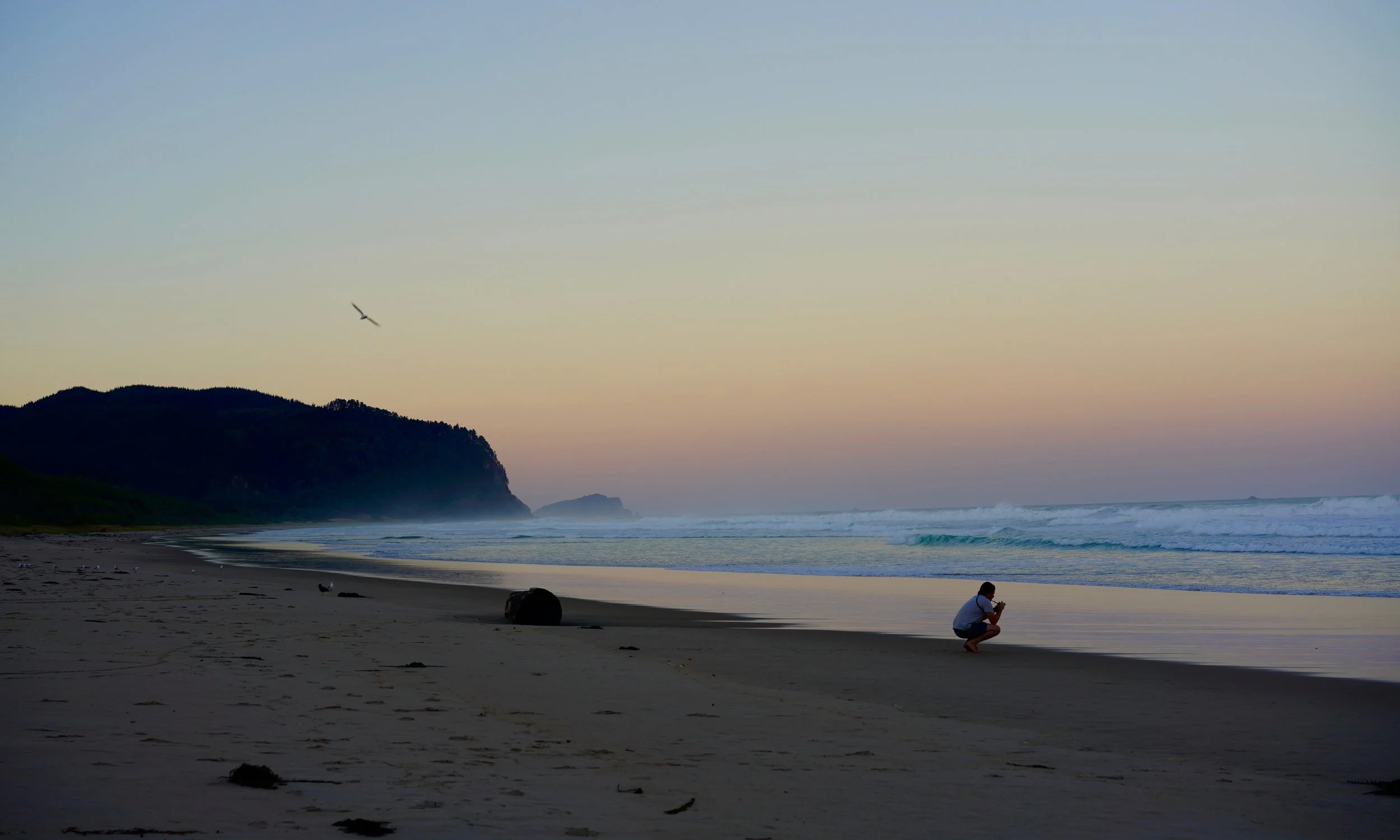 Thank You New Zealand